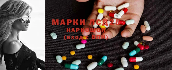 индика Армянск